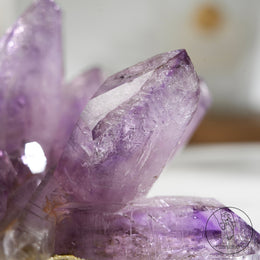 Veracruz Amethyst Cluster