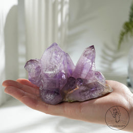 Veracruz Amethyst Cluster