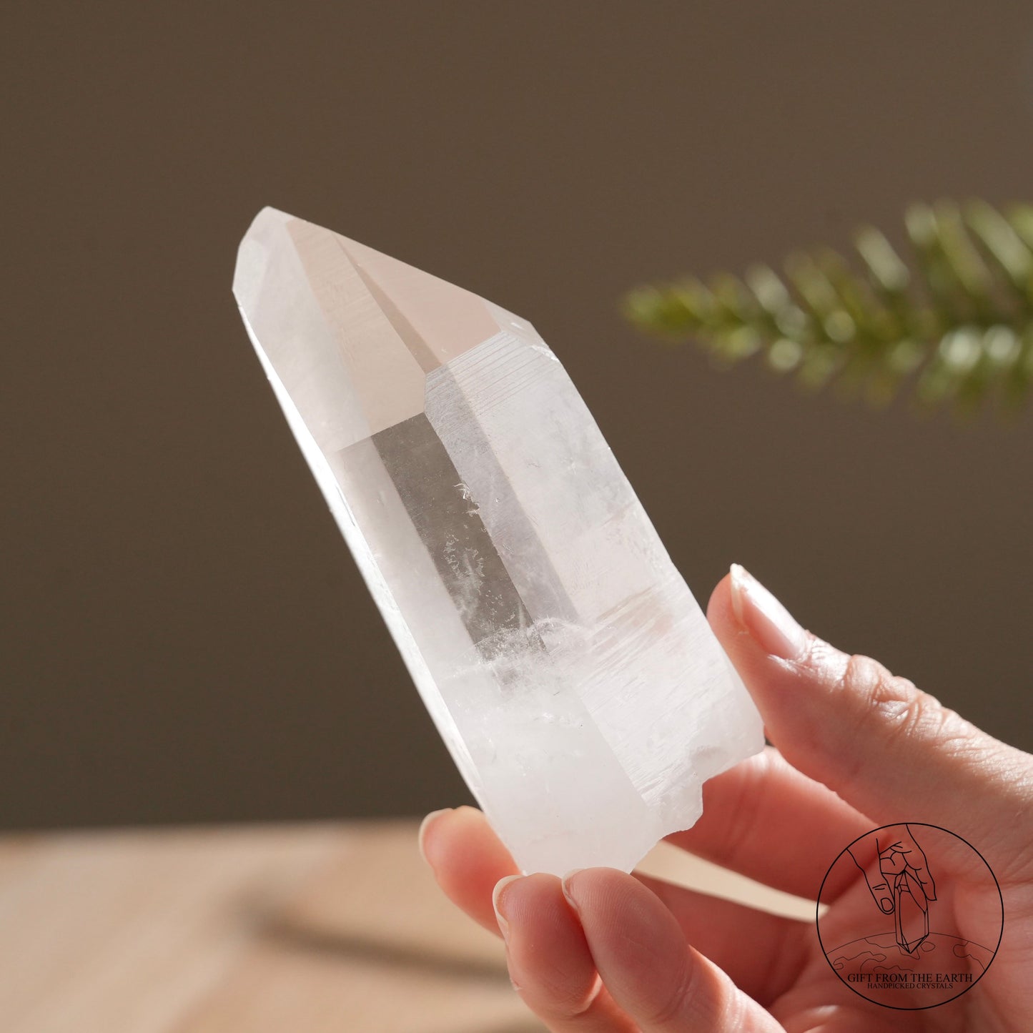 Brazilian blue needle database lemurian quartz