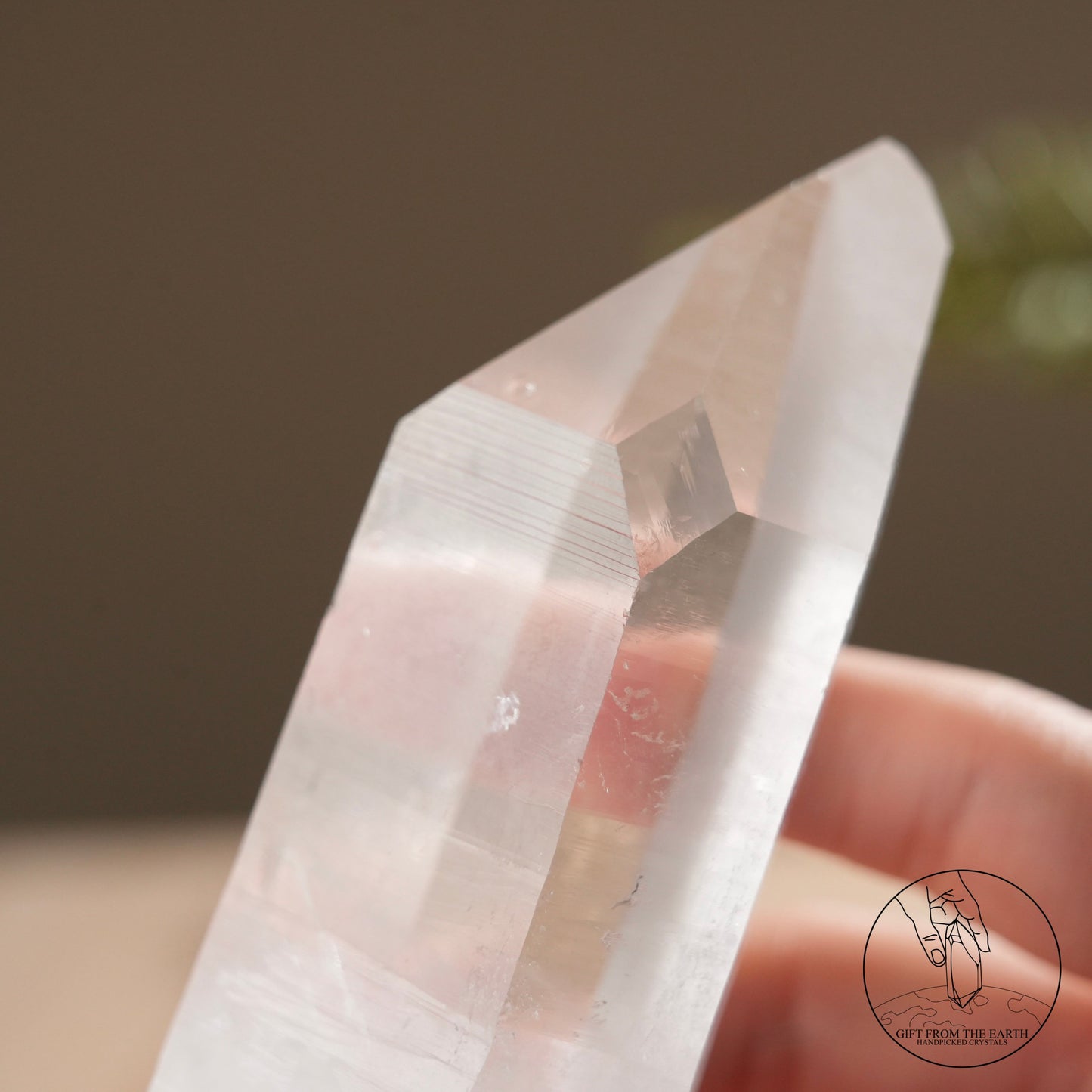 Brazilian blue needle database lemurian quartz