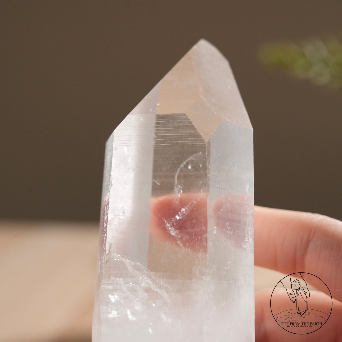 Brazilian blue needle database lemurian quartz