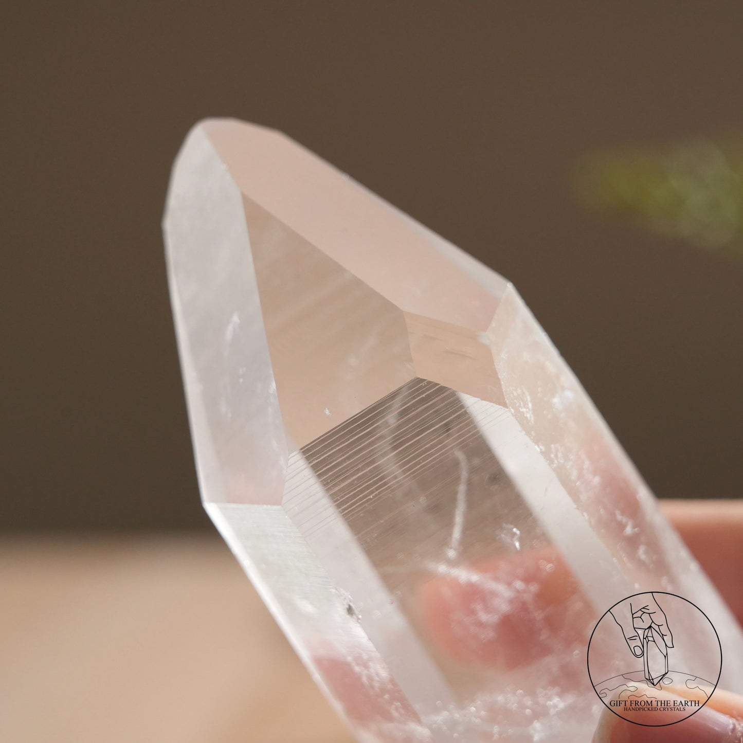 Brazilian blue needle database lemurian quartz