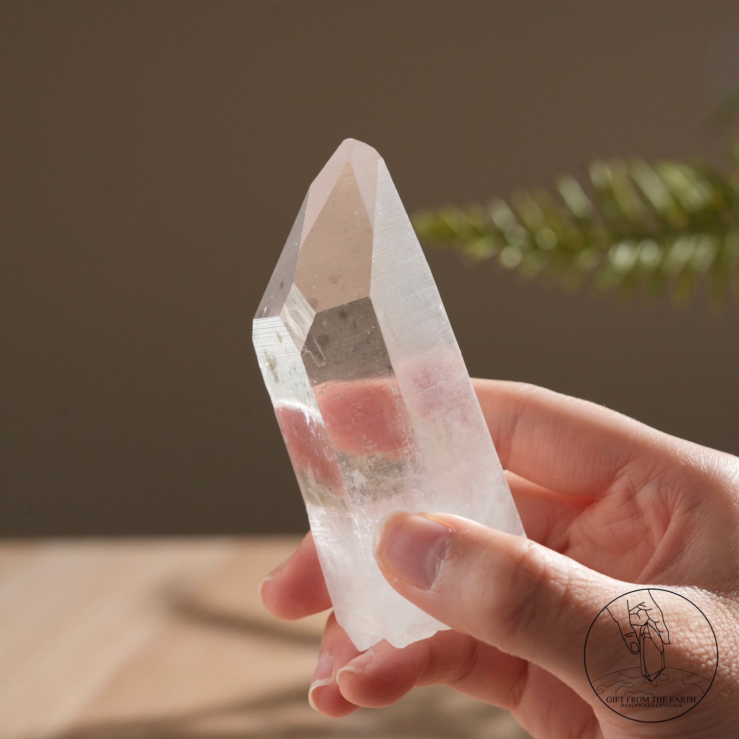 Brazilian blue needle database lemurian quartz