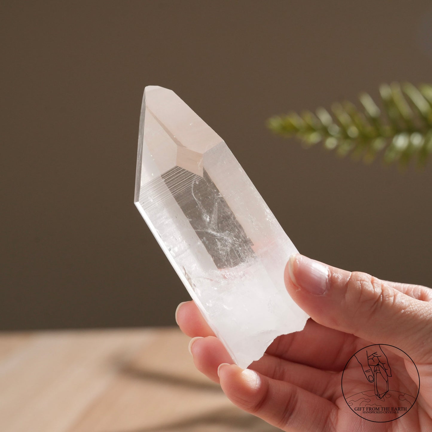 Brazilian blue needle database lemurian quartz