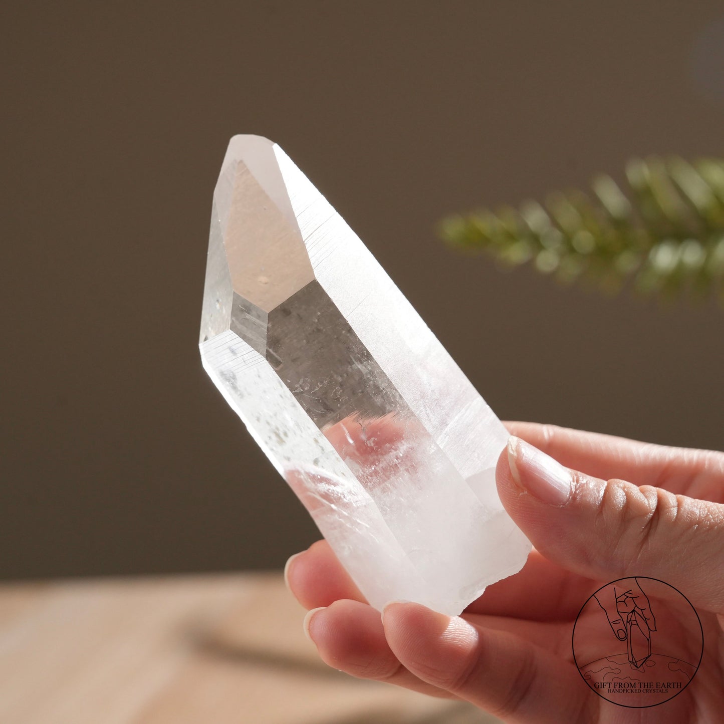 Brazilian blue needle database lemurian quartz