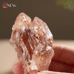 紅泥骸骨水晶