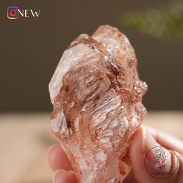紅泥骸骨水晶