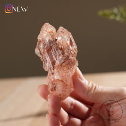 紅泥骸骨水晶