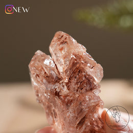 紅泥骸骨水晶