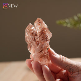 紅泥骸骨水晶
