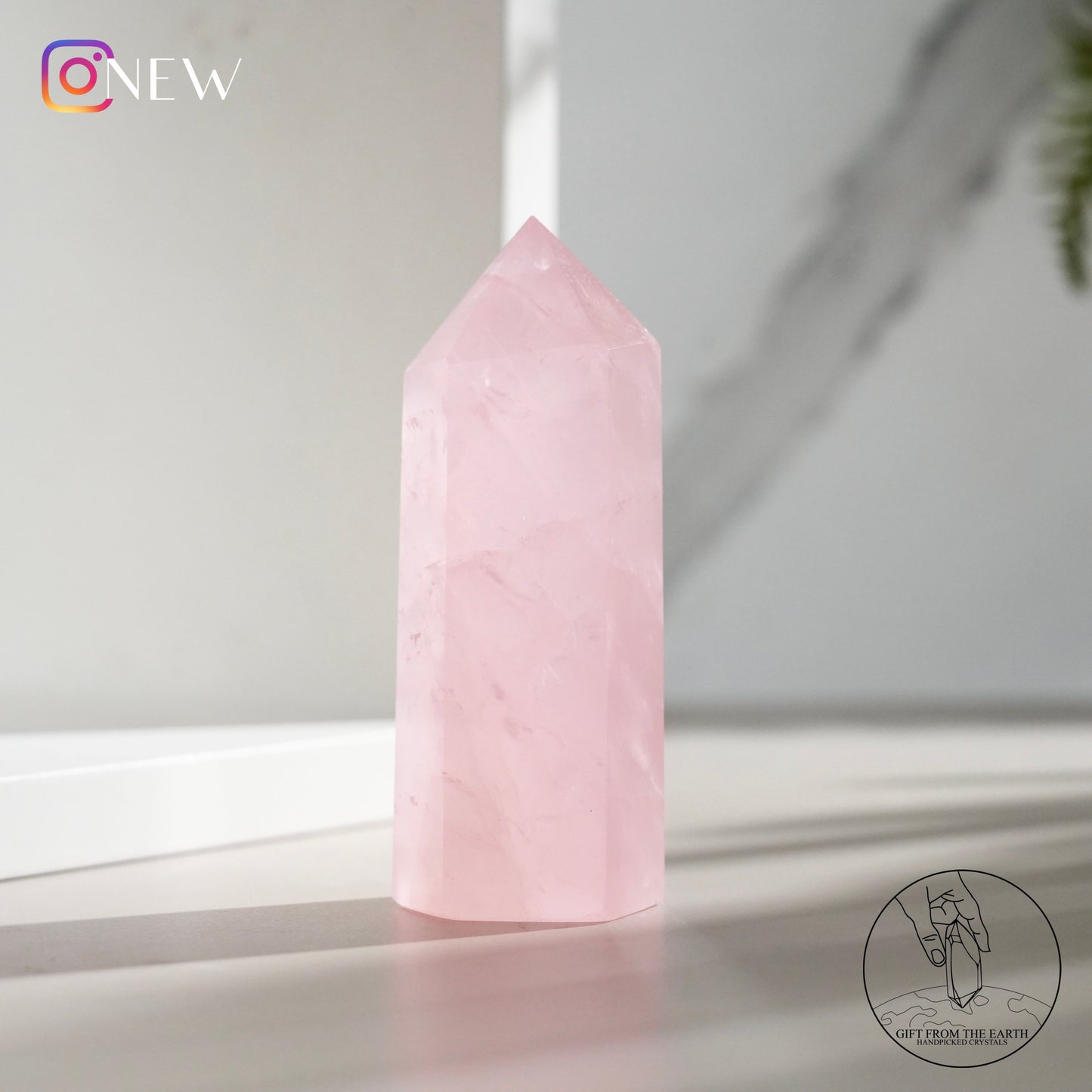 Mozambique rose quartz point