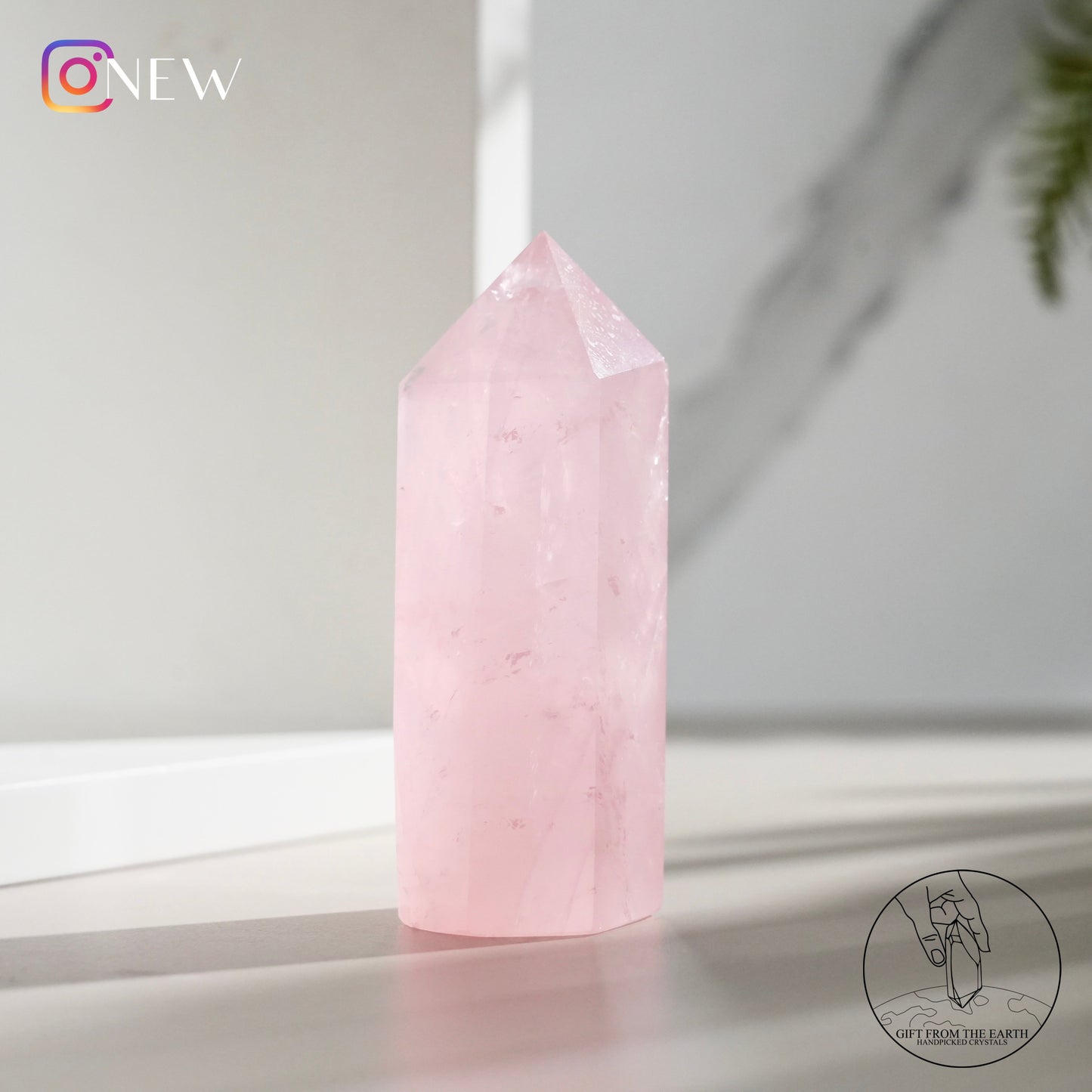 Mozambique rose quartz point