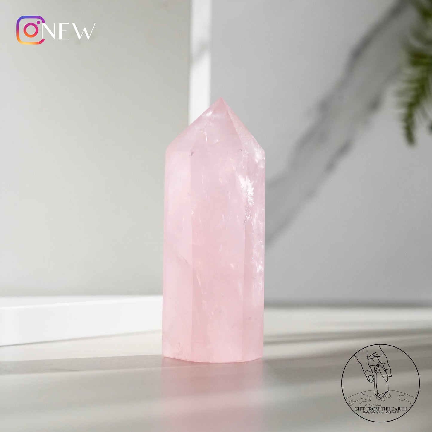 Mozambique rose quartz point