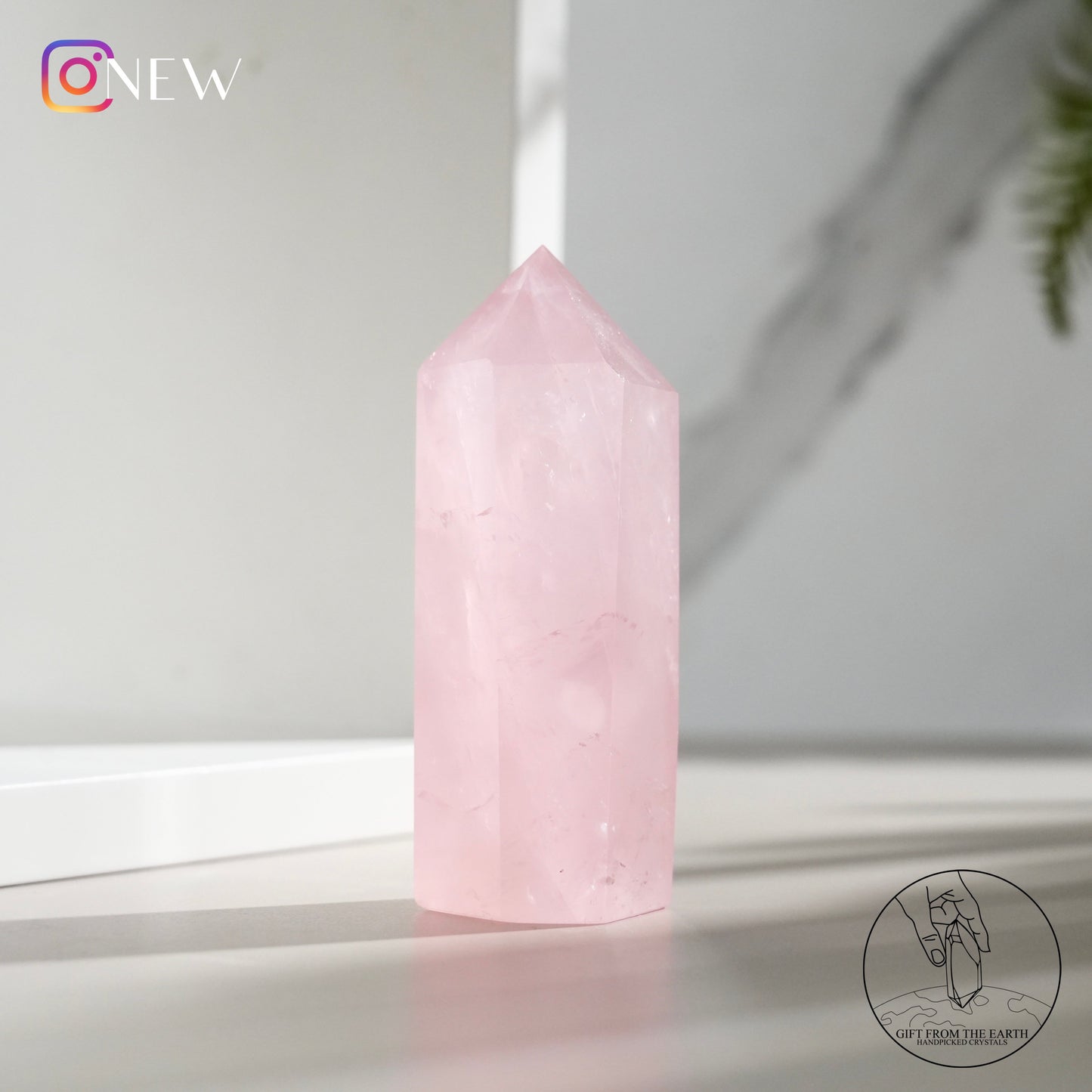 Mozambique rose quartz point