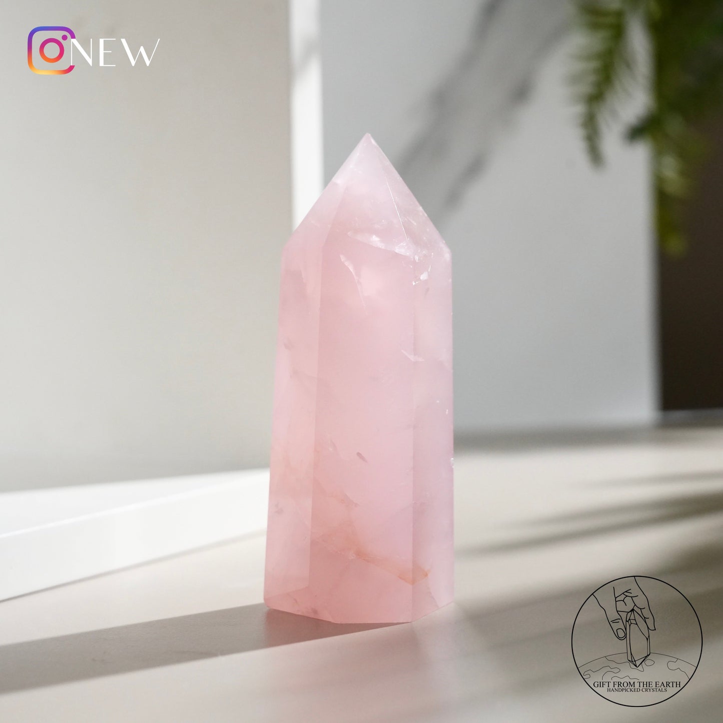 Mozambique rose quartz point