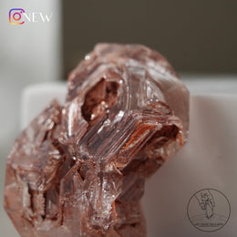 紅泥骸骨水晶