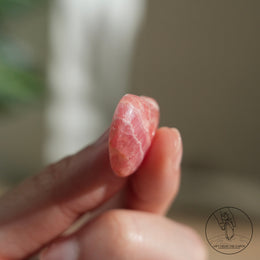 阿根廷紅紋石心