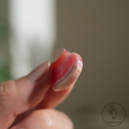 阿根廷紅紋石心