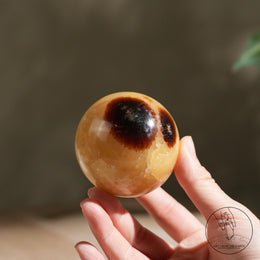 龜背石球