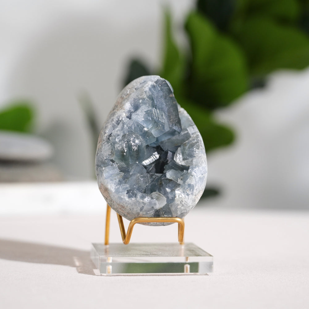 Egg Shape Celestite