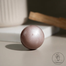 橙月光球太陽石共生