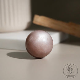 橙月光球太陽石共生