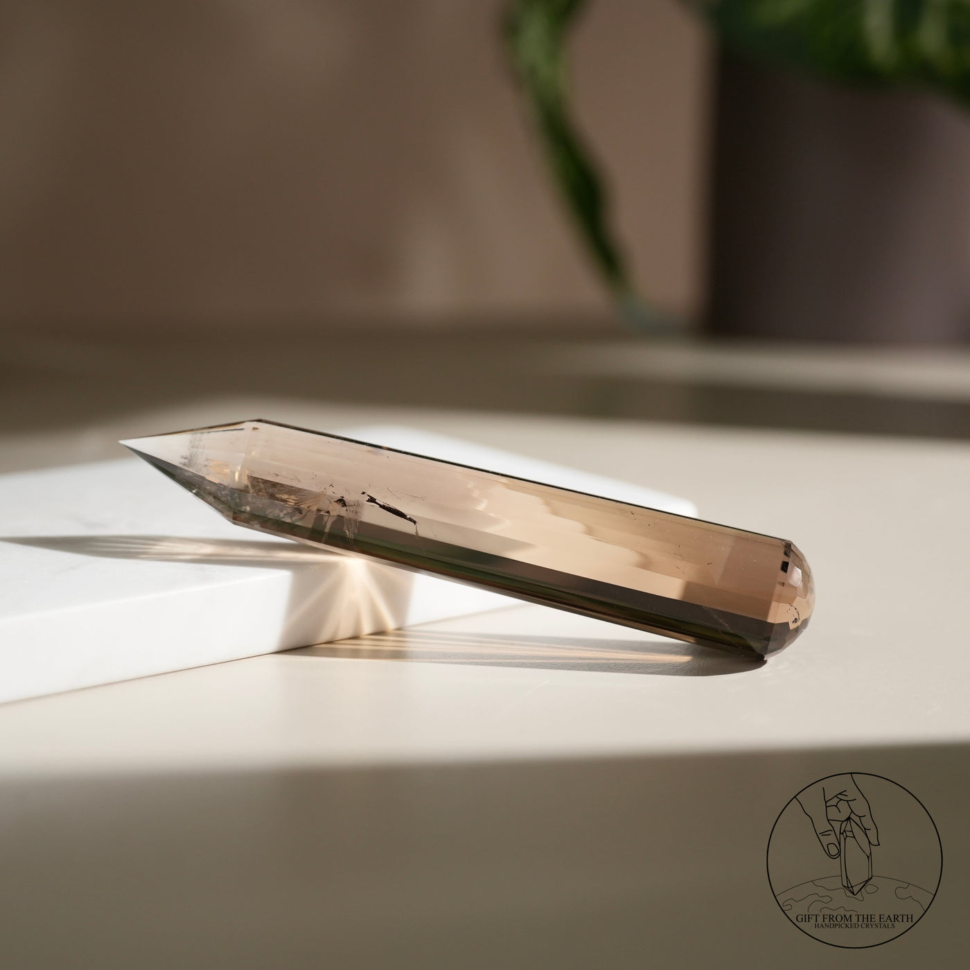 圓頭沃格爾茶晶