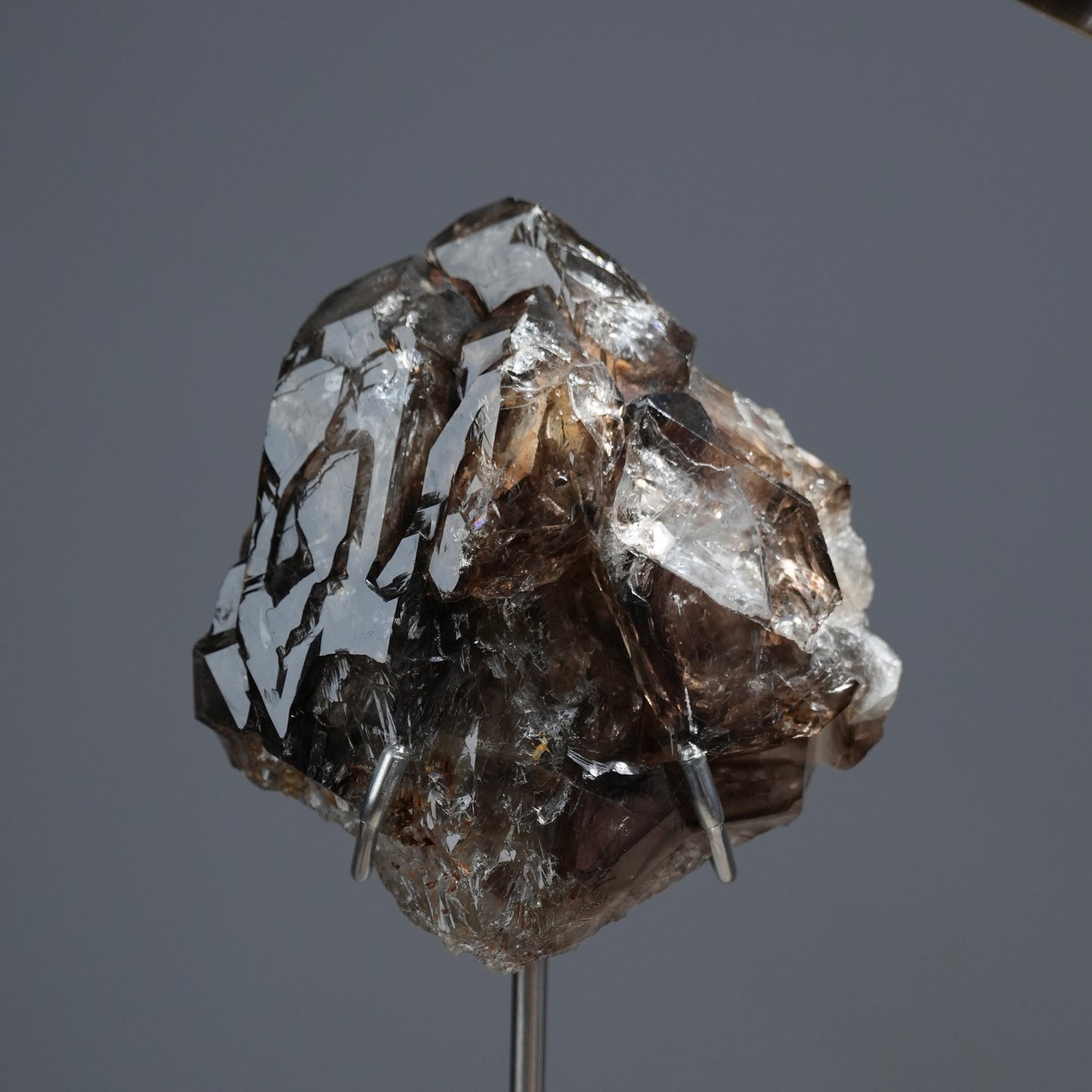 巴基斯坦骸骨水晶 - EXQUISITE COLLECTION