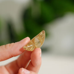 金髮晶月亮