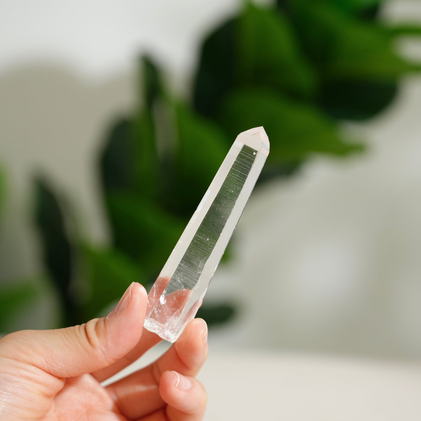 哥倫比亞杜氏白水晶