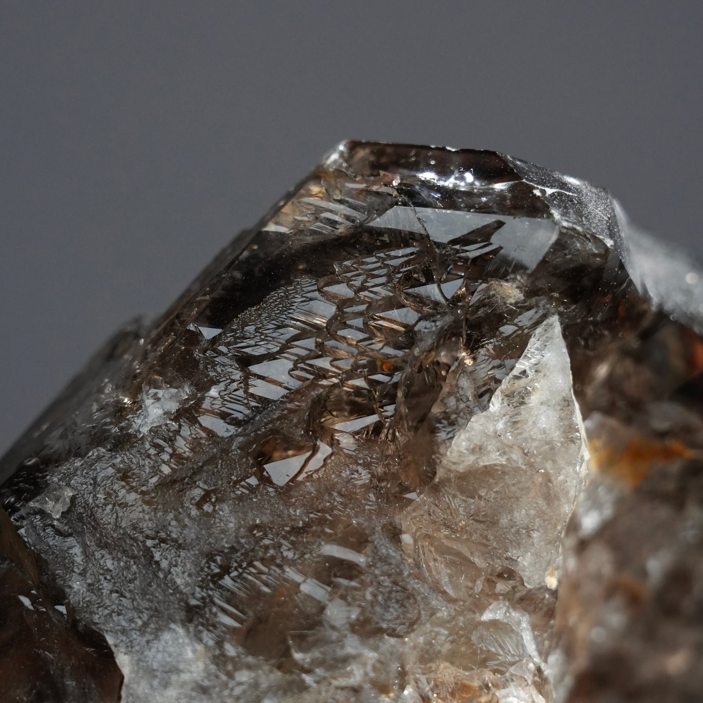 巴基斯坦骸骨水晶 - EXQUISITE COLLECTION