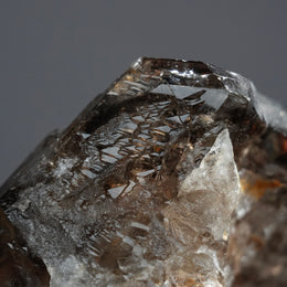 Skeletal Quartz - EXQUISITE COLLECTION
