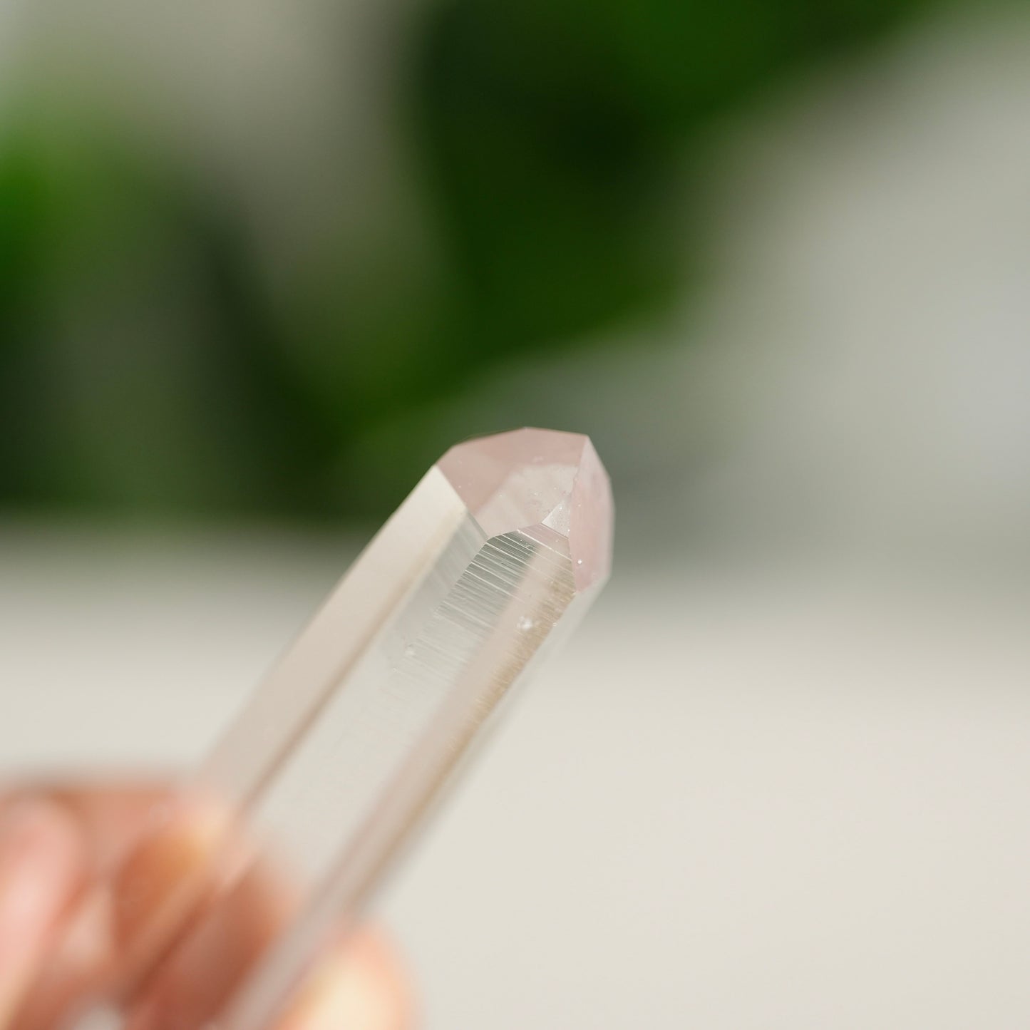 哥倫比亞杜氏白水晶