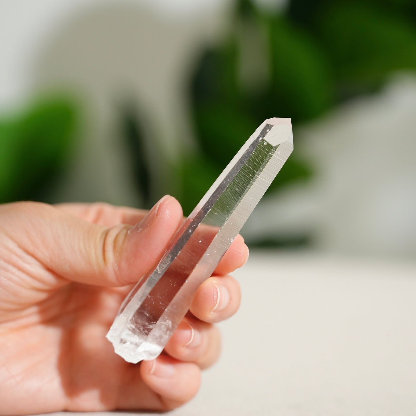 哥倫比亞杜氏白水晶