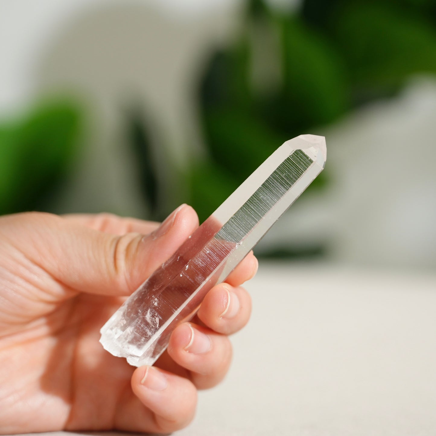 哥倫比亞杜氏白水晶