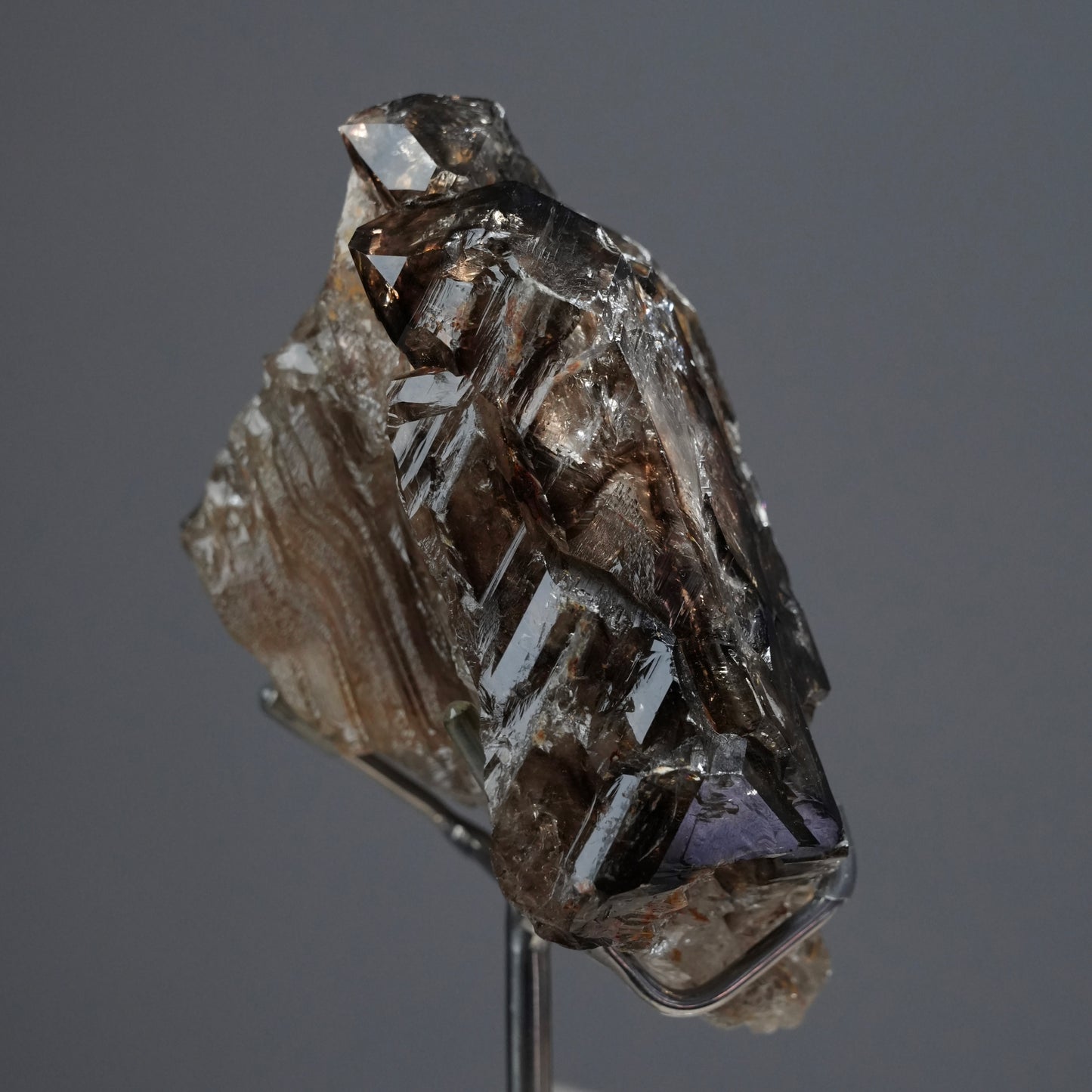 巴基斯坦骸骨水晶 - EXQUISITE COLLECTION