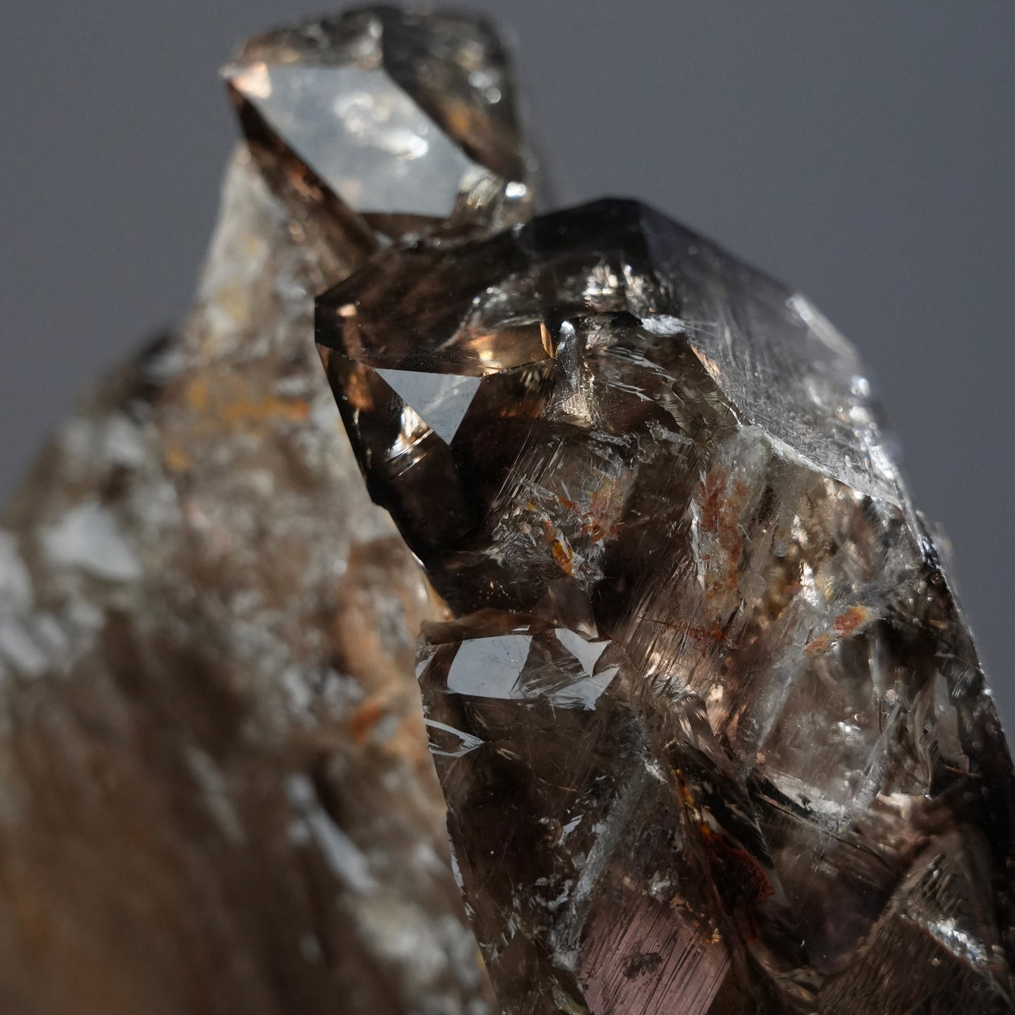 巴基斯坦骸骨水晶 - EXQUISITE COLLECTION