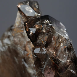 Skeletal Quartz - EXQUISITE COLLECTION
