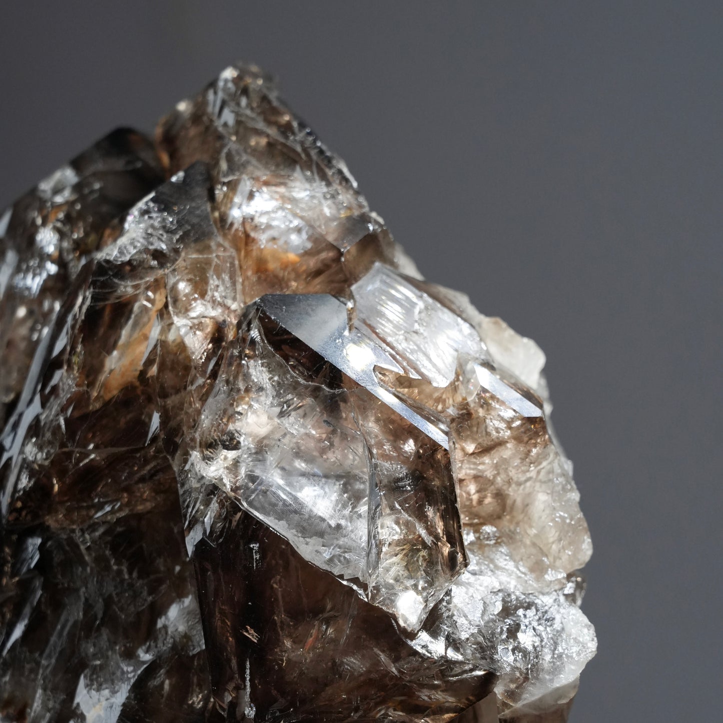 巴基斯坦骸骨水晶 - EXQUISITE COLLECTION