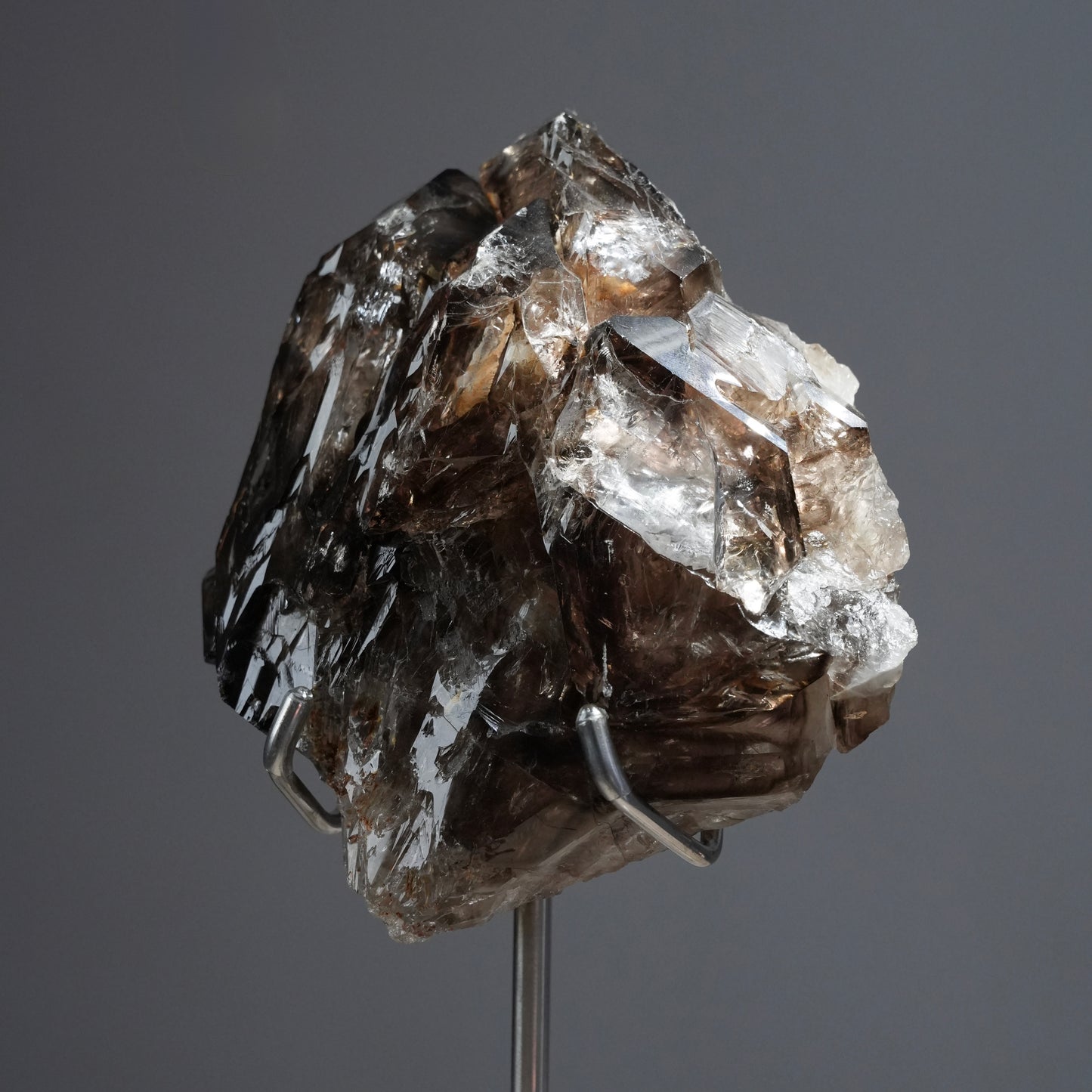 巴基斯坦骸骨水晶 - EXQUISITE COLLECTION