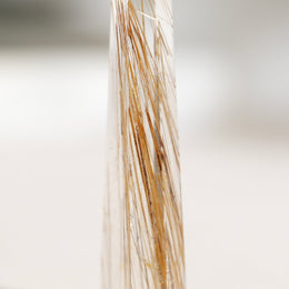 金髮晶柱