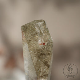 Rutilated Quartz Freeform