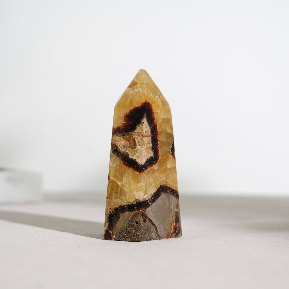 Turtleback Stone Tower