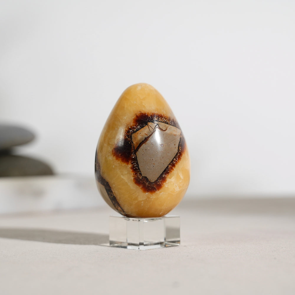 Turtleback Stone