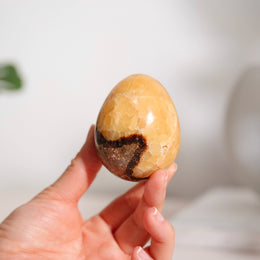 龜背石蛋