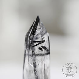 Clear Quartz Tower Black Tourmalinewith