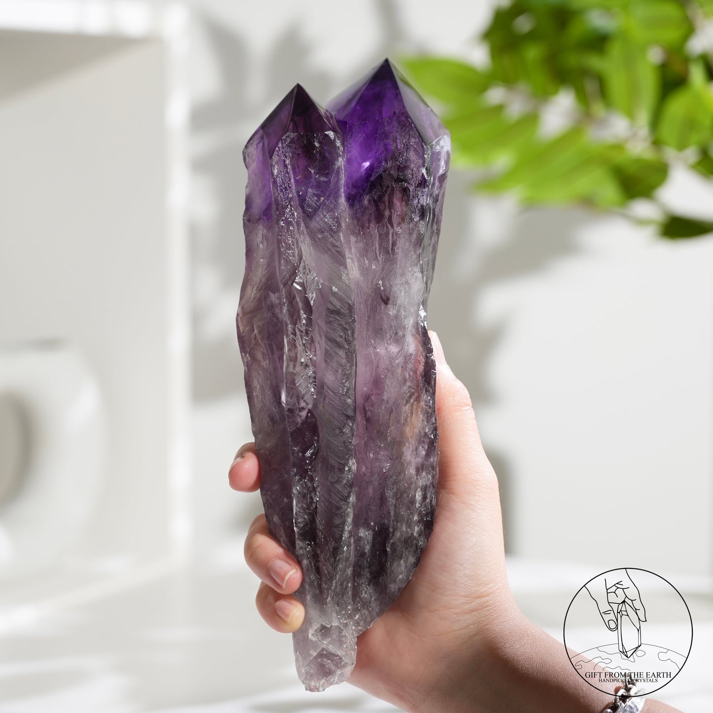 半打磨雙生紫水晶權杖