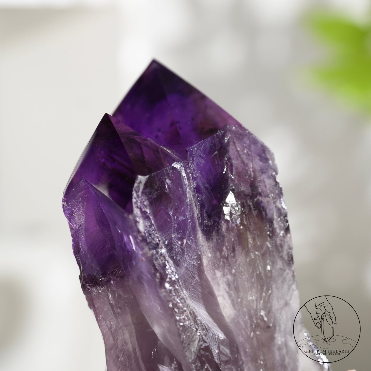 半打磨雙生紫水晶權杖