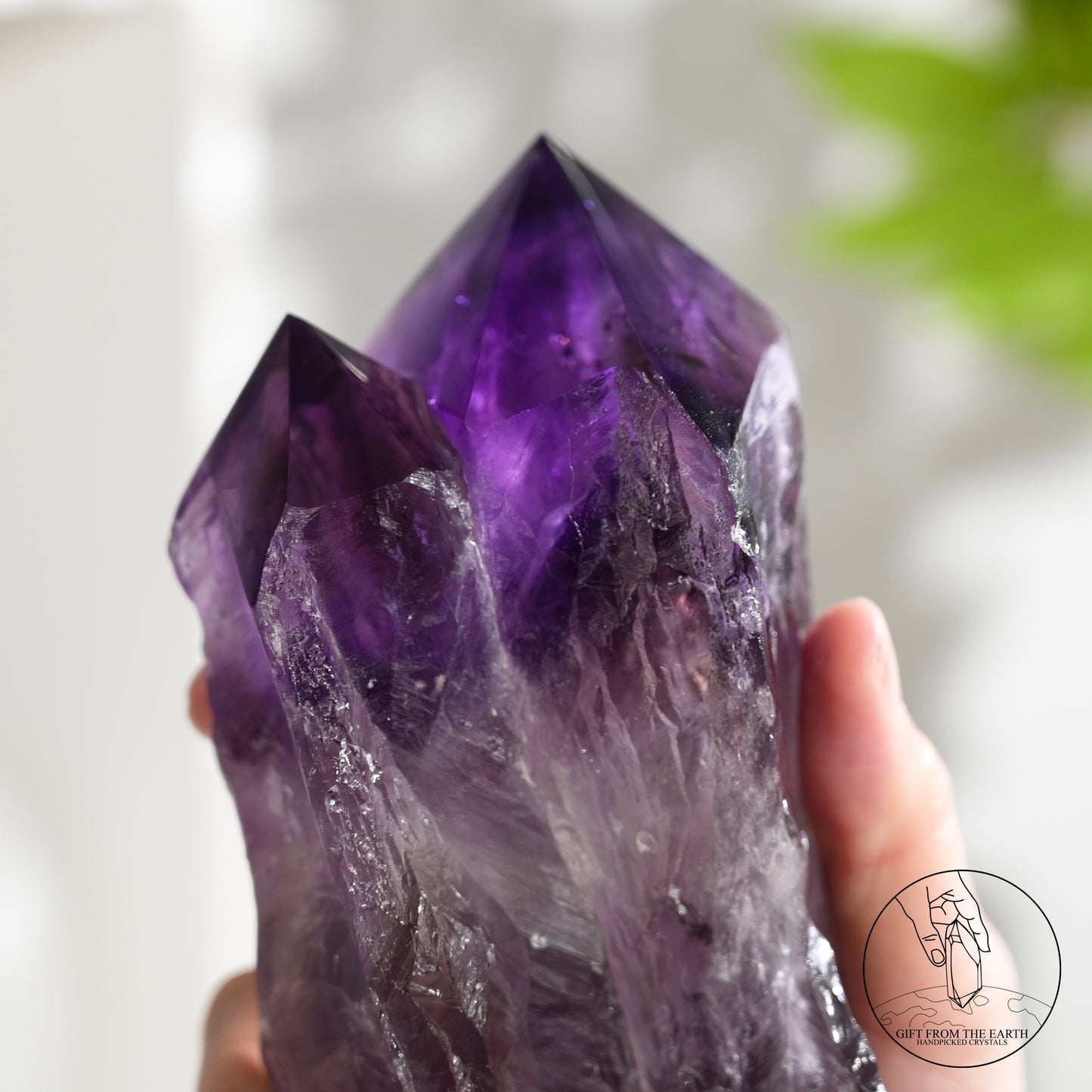 半打磨雙生紫水晶權杖