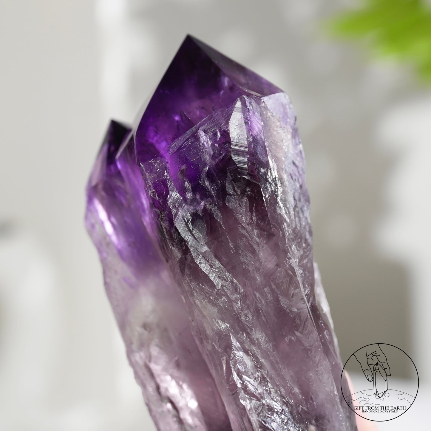 半打磨雙生紫水晶權杖